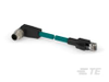 M8/M12 Cable Assemblies -- TCX3882A202-002 - Image