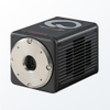 sCMOS cameras - C15440-20UP - Hamamatsu Photonics Europe
