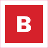 Fire Extinguisher Label - 45194 - Brady Corporation