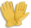 Deerskin Drivers Gloves(1 Dozen) - 9000B - Wiper Master, Inc.