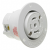 Plugs and Receptacles - WM22402-ND - DigiKey