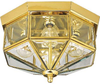 P5789-10 Flush Mounts-Cage Style - 768410 - Capital Lighting, Inc.