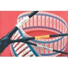 Cable Assembly - 484-1268390001 - ERSAELECTRONICS PTE. LTD.