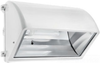 Outdoor Wall Light - WP2CSN150W - RAB Lighting