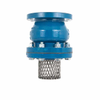 APCO Full Flow Foot Valves (FFF) - Image