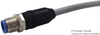 Sensor Cable, Amp, M12 Sensor Straight 8 Position Plug, Free / Stripped End, 1.5 M, 4.9 Ft Rohs Compliant Te Connectivity - 49Y4498 - Newark, An Avnet Company