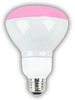 8R30/FROST/PINK DIMMABLE CCFL - 81307 - Premium Quality Lighting