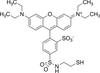 Sulfo Rhodamine Amidoethyl Mercaptan - 31009 - Medical Isotopes, Inc.