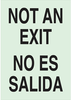 Glow-in-the-Dark Safety Sign - 90691 - Brady Corporation