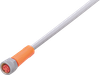 Connecting cable with socket - EVW073 - ifm electronic gmbh