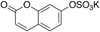 7-Hydroxy Coumarin Sulfate Potassium Salt - 10754 - Medical Isotopes, Inc.