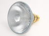 90 Watt, 120 Volt Halogen PAR38 Flood - FAN3049 - bulbs.com