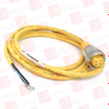 QD Cable/Cord Set - 602485 - Radwell International