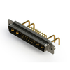 D-Sub Connector Assemblies - 151-629-21W4250-1N2-ND - DigiKey