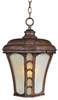 Exterior -Hanging - 358089 - Light Center (The)