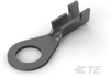 Ring Terminals - 160102-2 - TE Connectivity