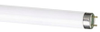 Fluorescent Tubes -- 377571 - Image