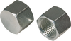 3/4" NPT Cap - 8424863 - Princess Auto Limited