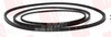 Belt -- 122981163