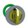 Configurable Switch Bodies - 4008-ZB5FK1583C0-ND - DigiKey