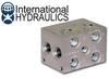 D03 2 Station Parallel Manifold -- IH-MD03-P02 - Image