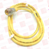 QD Cable/Cord Set - 3614531 - Radwell International