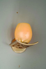 73-61 Sconces-Single Glass - 417106 - Capital Lighting, Inc.