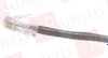 Cable for Computer Nework Etc… - 50775586 - Radwell International