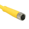 QD Cable/Cord Set - Radwell International