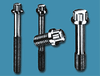 Chandler Products -- 12 Point Bolts - Image
