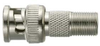 BNC Plug to F Jack -- 301-0401-TP - Image