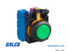 IDEC Pushbutton Non-Illuminated - CW1B-M2E30G - Galco Industrial Electronics