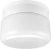 P3516-30 Flush Mounts-Bowl Style - 786882 - Capital Lighting, Inc.