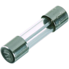 Fuses - 2080-2919.0-ND - DigiKey