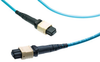 Lead, Cxp, 24F 50/125Um Om3, Mpo, 5M; Fibre Optic Connector A Te Connectivity - 37AJ1879 - Newark, An Avnet Company