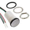 Panel Indicators, Pilot Lights - 350-2756-ND - DigiKey