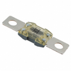Fuses - F10065-ND - DigiKey