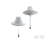 RF Antennas - 994-CMS38606P-30D43F-ND - DigiKey
