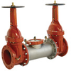 Stainless Steel Double Check Valve Assemblies - 2000SS - Watts