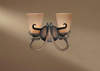 Bathroom Fixtures-Two Lights - 214682 - Light Center (The)