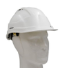 Hard Hats -- 145338 - Image