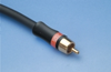RCA Plug, Z300D THX - Z300DI-75RCA - Visual Sound, Inc.