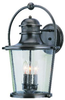 Exterior -Wall Mount - 66399 - Light Center (The)