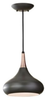 Pendant Light Fixture - P1253DBZ - Generation Brands