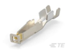 Eurocard Connectors - 234064-E - TE Connectivity
