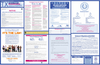 Oregon State & Federal Labor Law Poster - 106402 - Brady Corporation