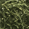 10 lb. Olive - Crinkle Paper -- CP10S - Image