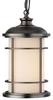 Pendant Light Fixture - OL2209BB - Generation Brands