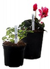 Plant Markers, pack of 50 - HGPM50 - Hydrofarm, Inc.