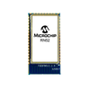 RF Transceiver Modules and Modems - RN52SRC-I/RM100 - Quarktwin Technology Ltd.
